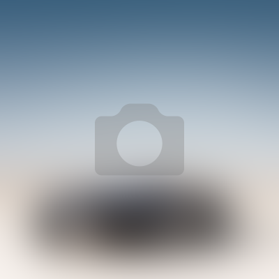 prom-electric.ru PIV97